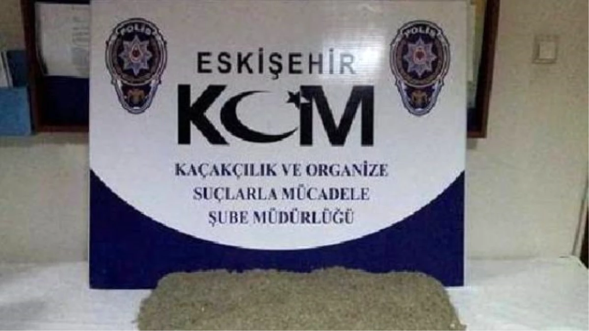 Eskişehir\'de 4.5 Kilo Bonzai Ele Geçirildi