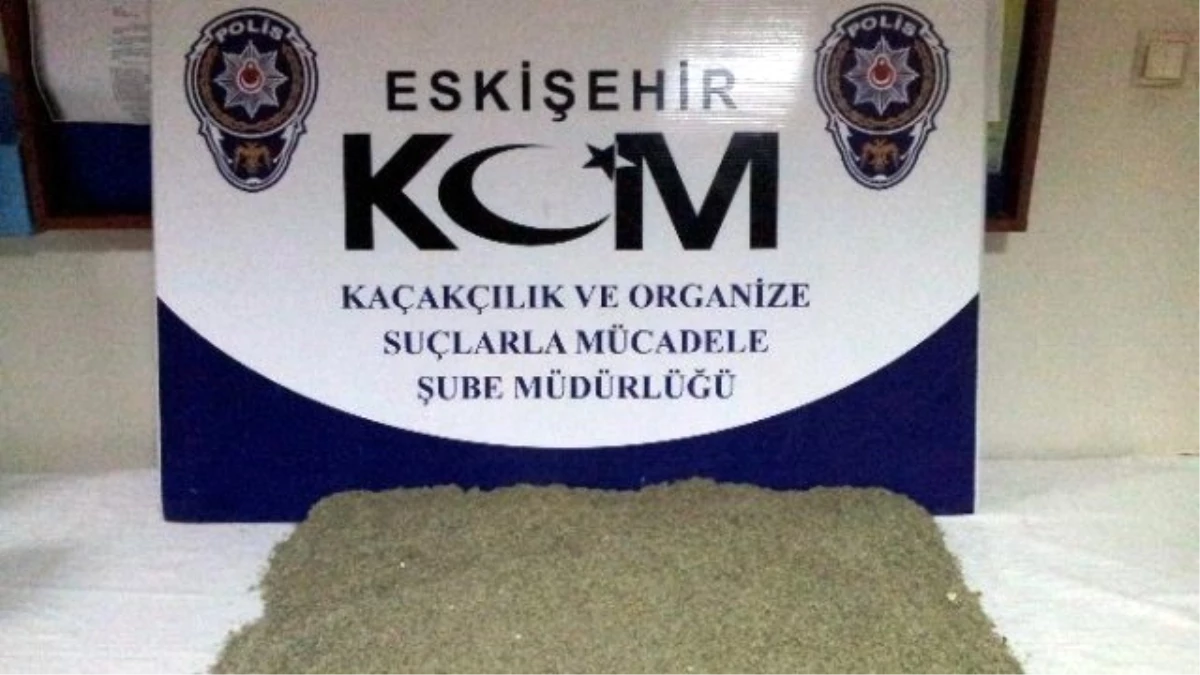 Eskişehir\'de 4 Kilo 529 Gram Bonzai Ele Geçirildi