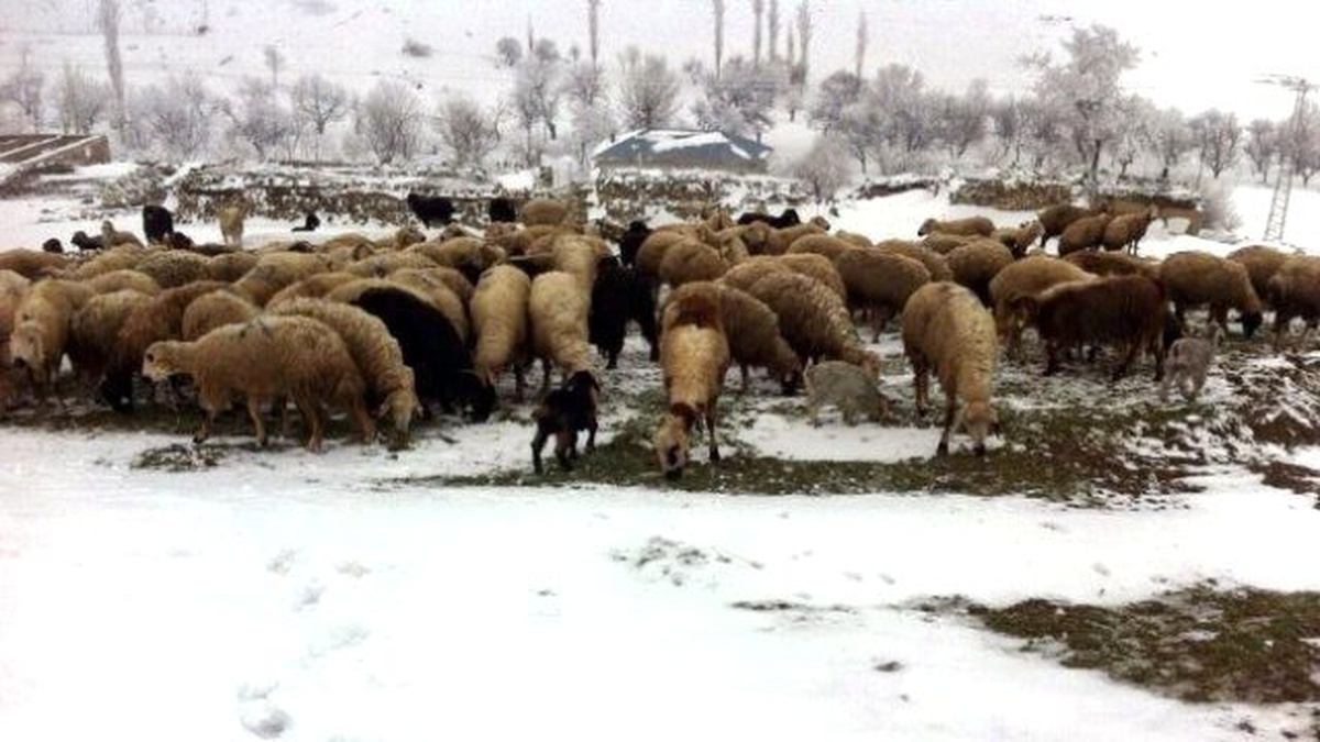 Niğde\'de Kaybolan Çoban ve Koyun Sürüsüne 24 Saat Sonra Ulaşıldı
