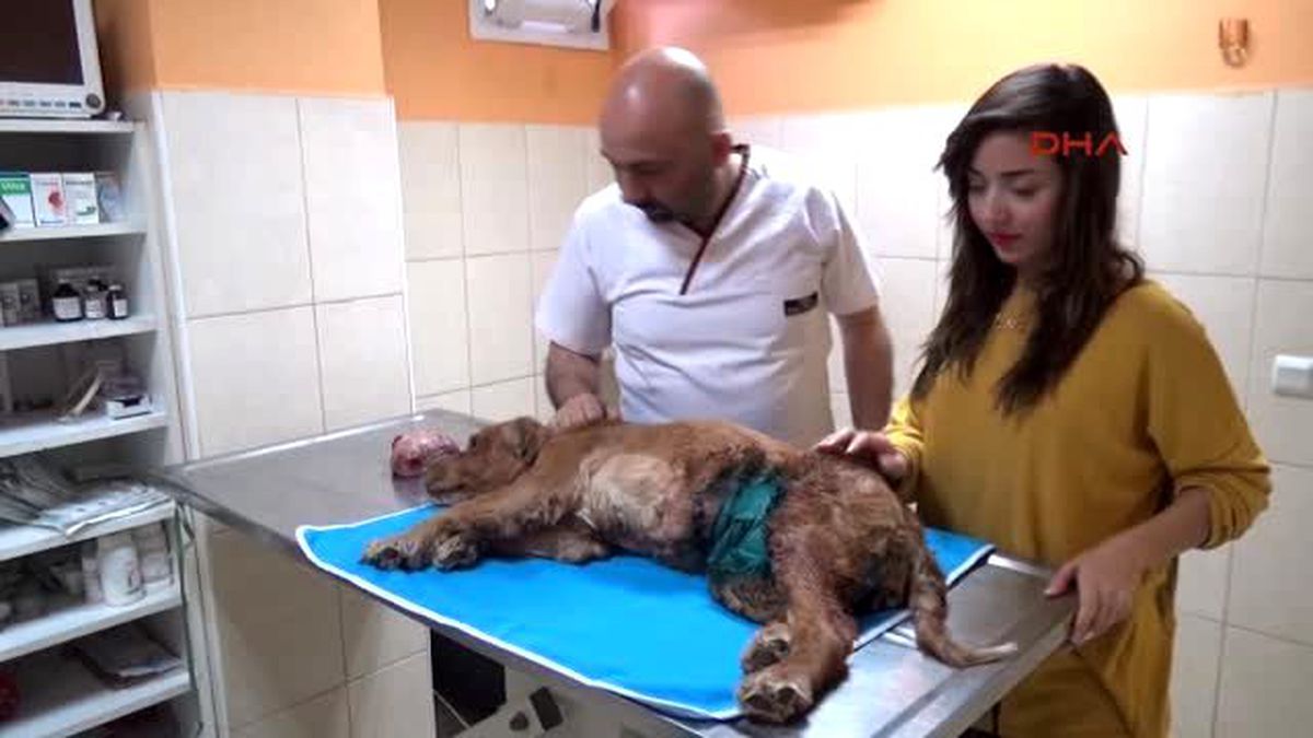 Kuki\'den 900 Gram Ur Alındı