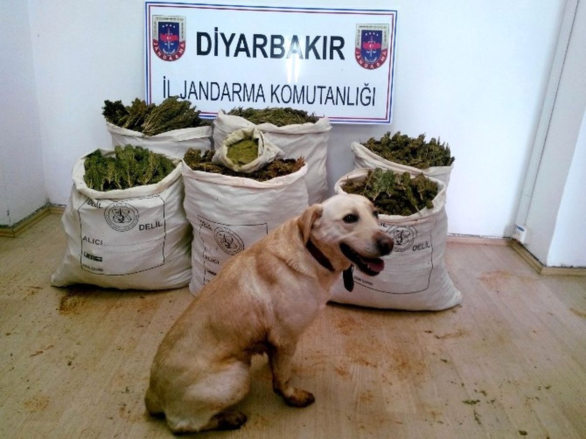 Diyarbakır\'da 102 Kilogram Esrar Ele Geçirildi