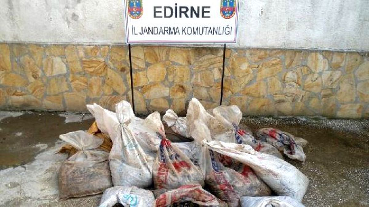 Enez\'de 1 Ton Kaçak Deniz Patlıcanı Ele Geçirildi