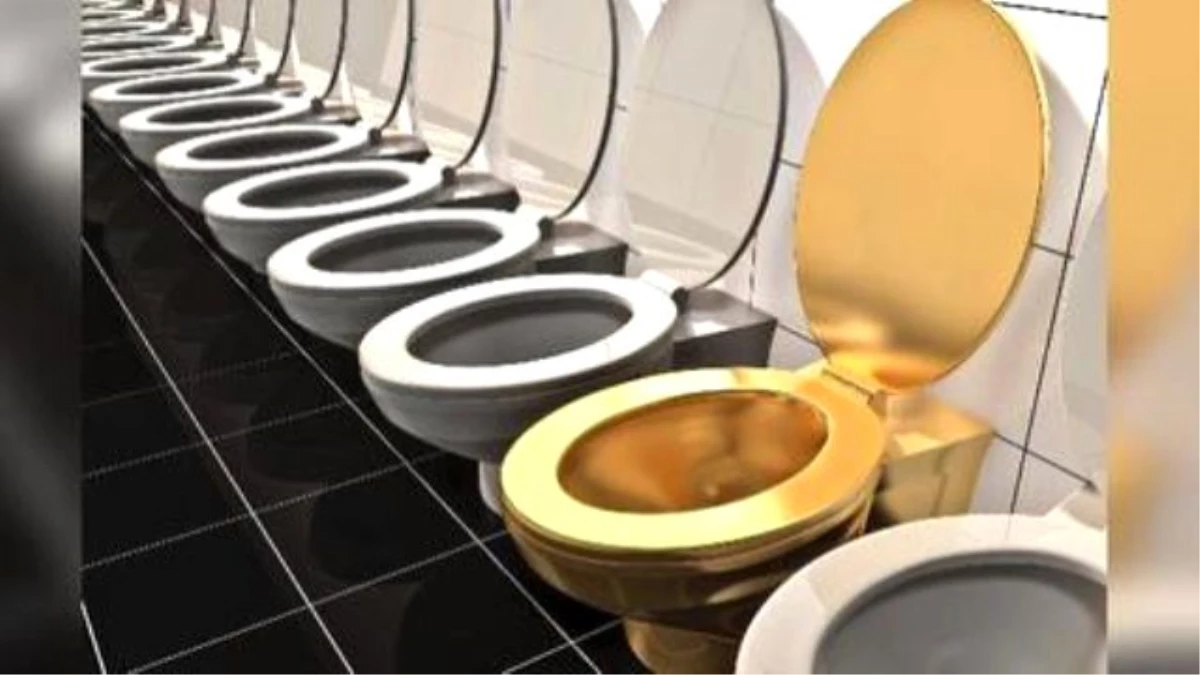 Scientists Say Your Poop İs A Gold Mine