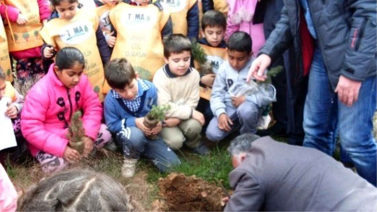 Ayvalık\'ta Öğrenciler Ağaç Dikerek Orman Sevgisini Öğrendi