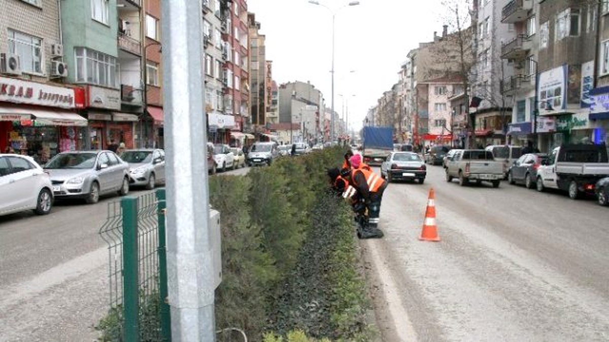 Bozüyük\'te Orta Refüjler Yaza Hazırlanıyor