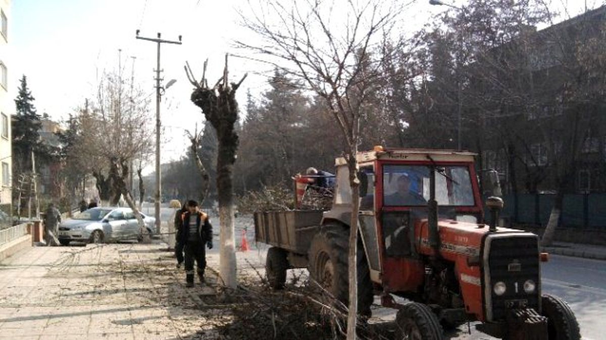 Büyükşehir\'den Budama Çalışmaları