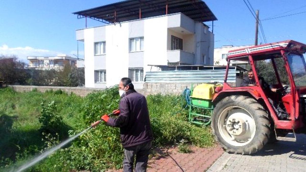 Ceyhan\'da "Ot" Mücadelesi