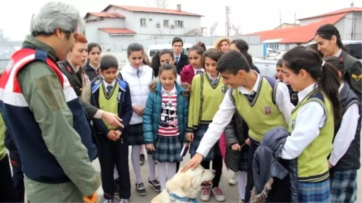 Hakkari\'de "Kaybolmayan Çocuklar" Projesi