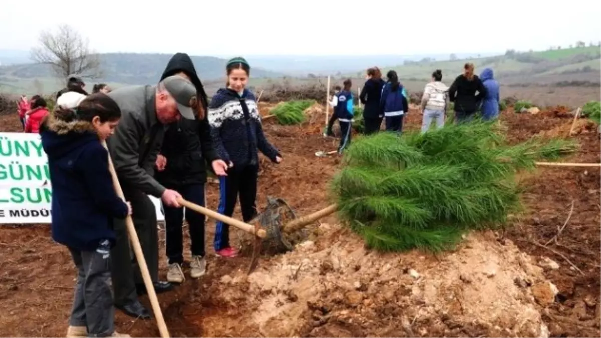 Öğrencilerden 100. Yıl Anısına Hatıra Ormanı