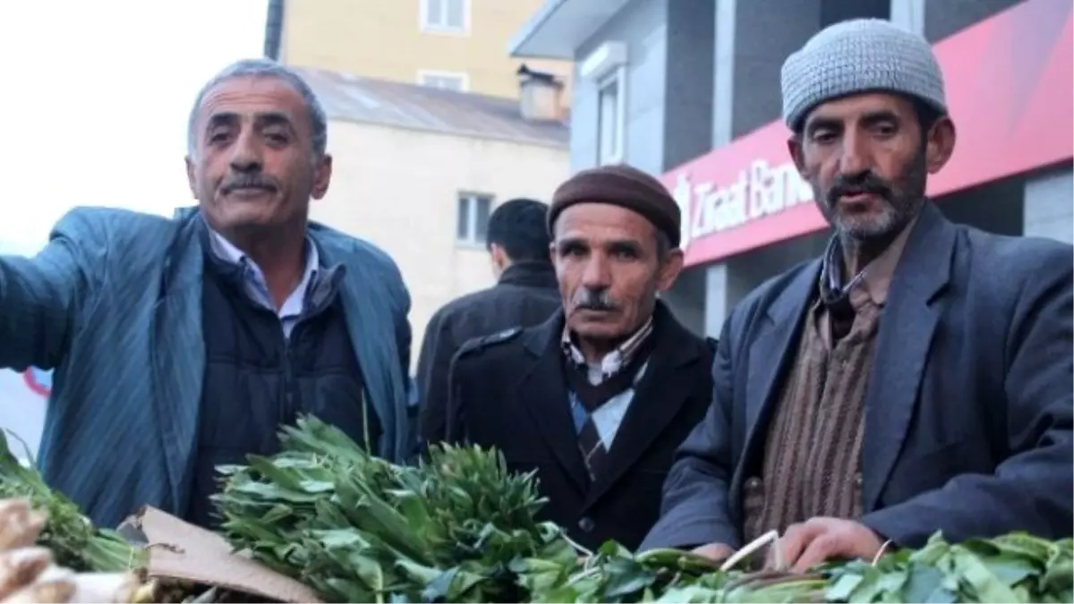 Pancar Tezgahlardaki Yerini Aldı