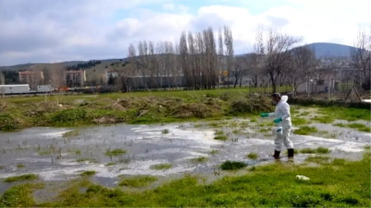 Bozüyük\'te Larva Mücadelesi Su Birikintilerinde Devam Ediyor