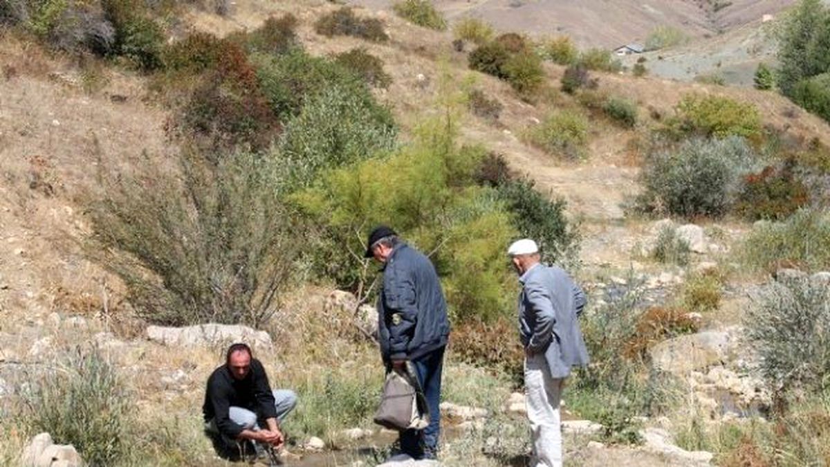 Çoruh Havzası Projesi Kapsamında Çiftçi Destekleri Başladı
