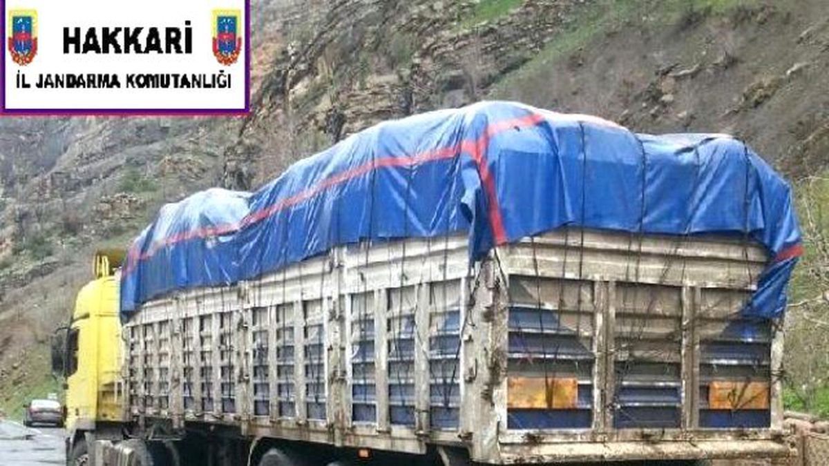 Çukurca\'da 11 Ton Kaçak Çay Ele Geçirildi