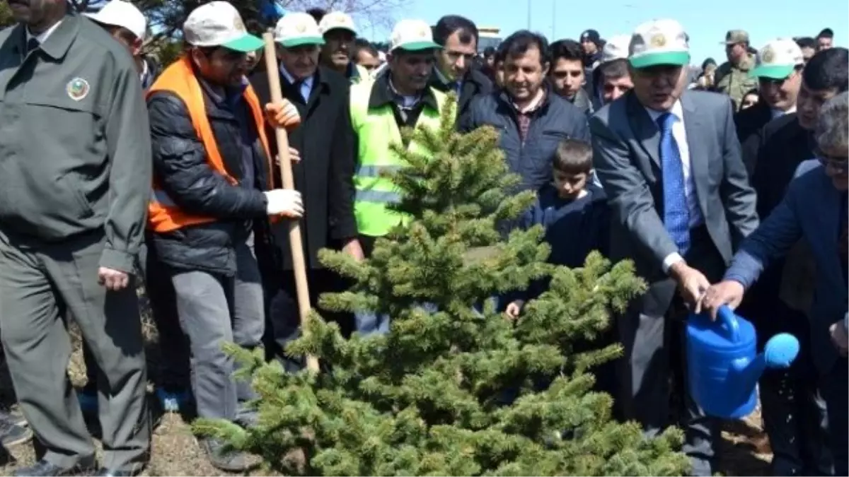 Erzurum\'da "Bereket Ormanları" Projesi