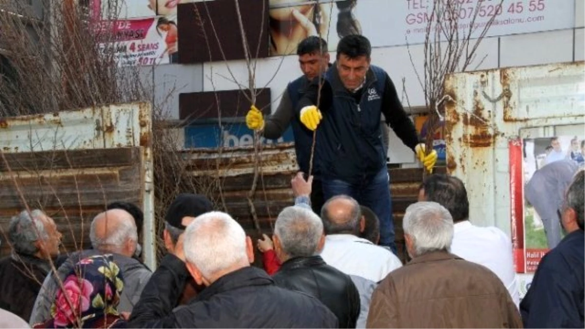 Gaziemir Belediyesi 3 Bin Fidan Dağıttı