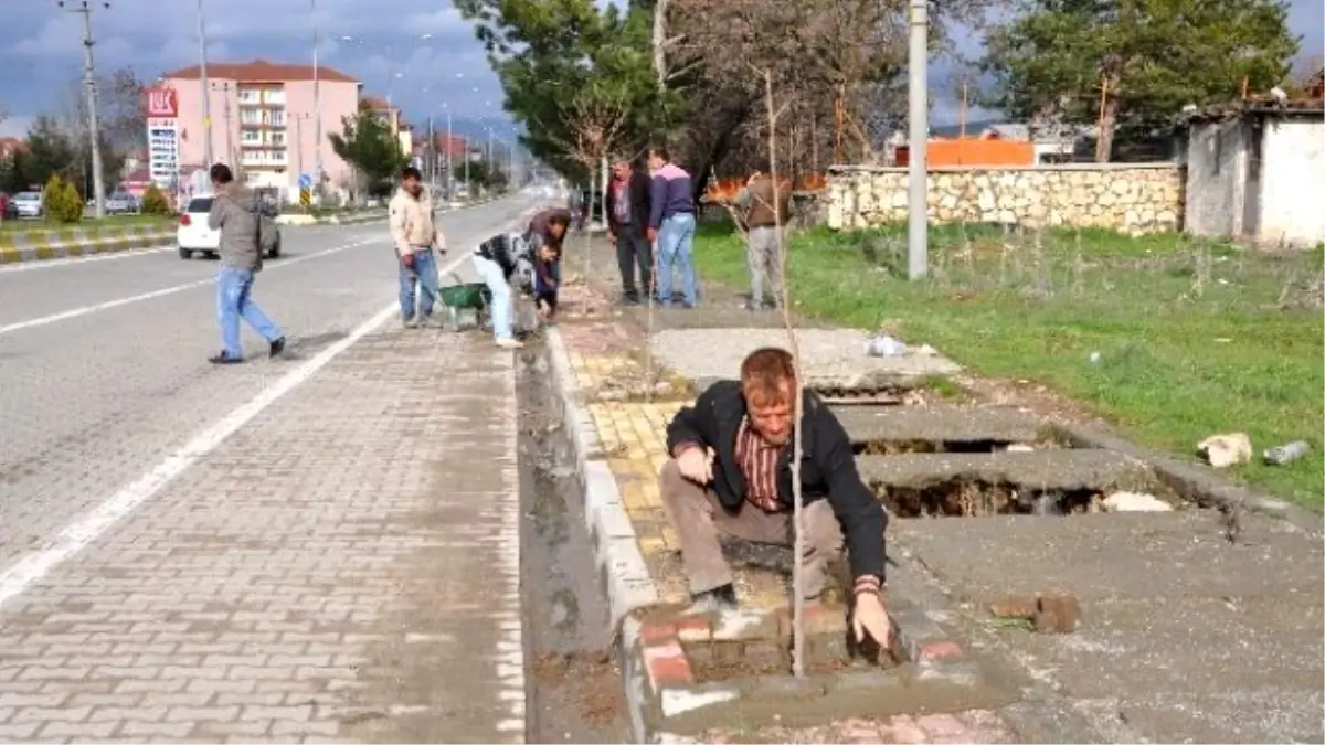 Gölbaşı\'nda Peyzaj Çalışmaları Devam Ediyor