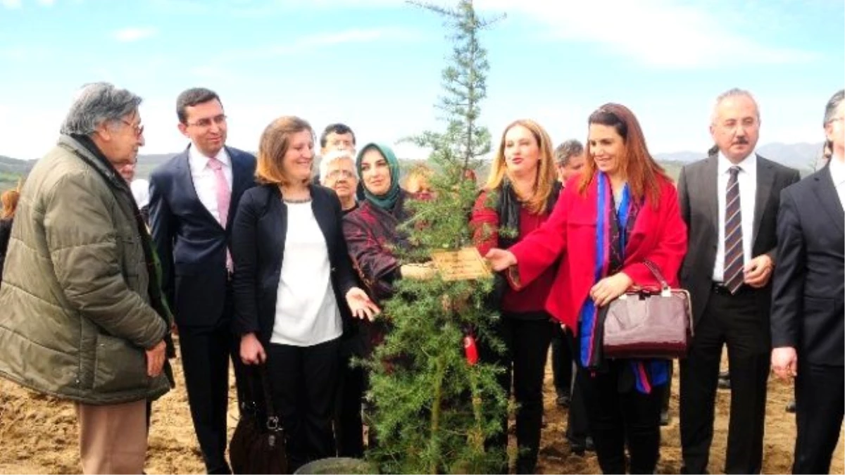 Gönül Elçileri Bereket Ormanı Projesi"