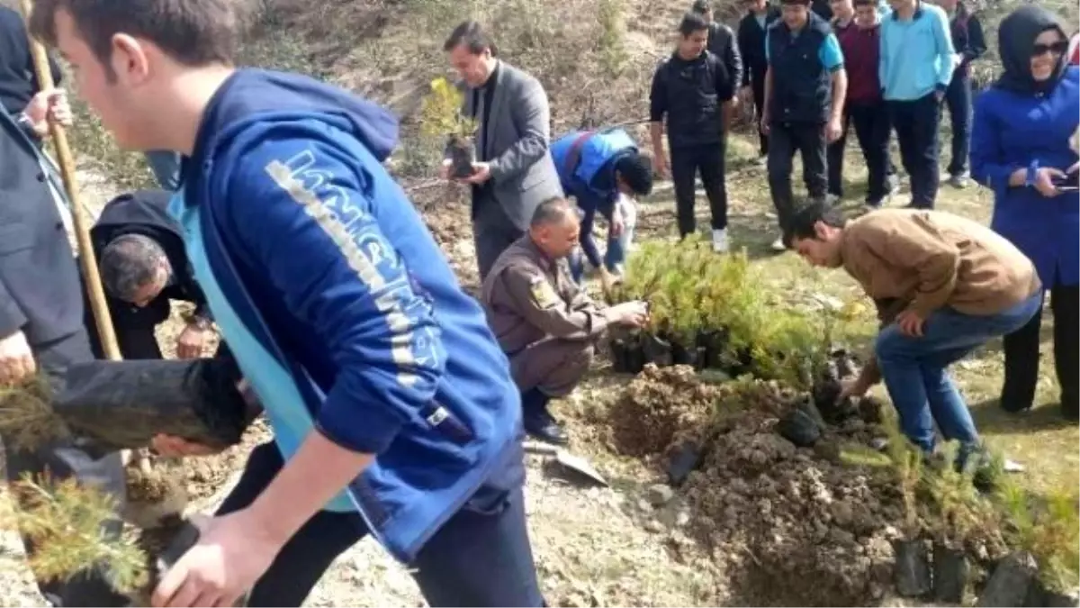 Her Öğrencinin Dikili Bir Ağacı Oldu