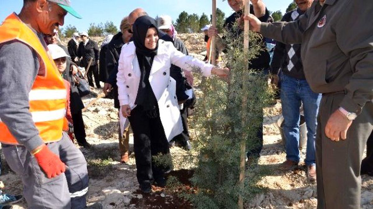 Kilis Gönül Elçileri Bereket Ormanı