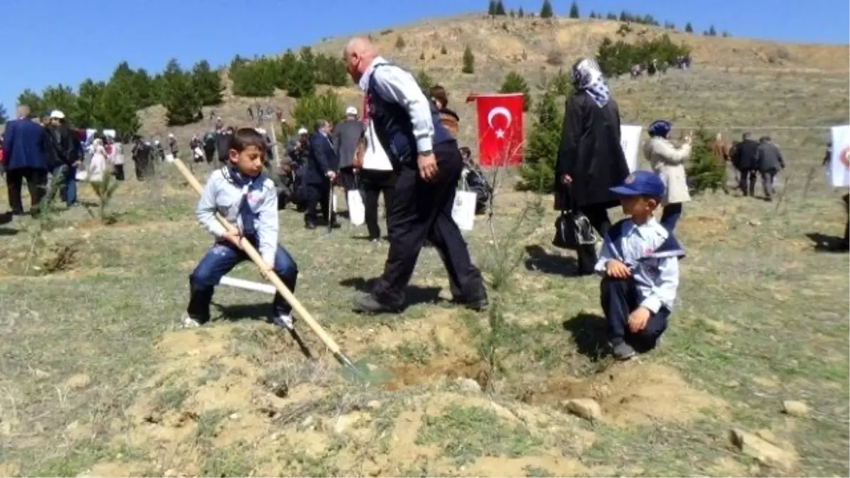 Kırıkkale\'de Gönül Elçileri 500 Fidanı Toprakla Buluşturdu