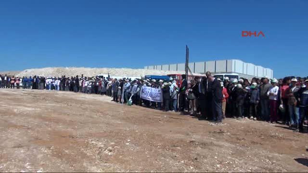 Şanlıurfa?ya Bu Yıl 2 Milyon Fidan Dikilecek