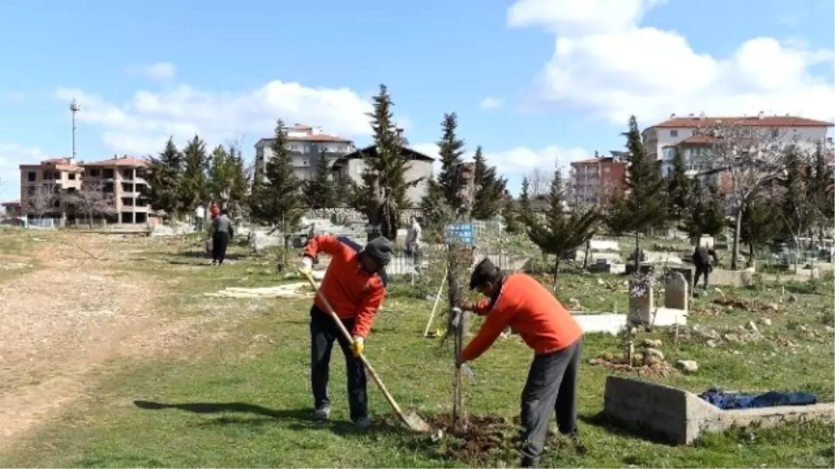 Belediye, İş Kur İşbirliğiyle Mezarlıkları Yeşillendiriyor