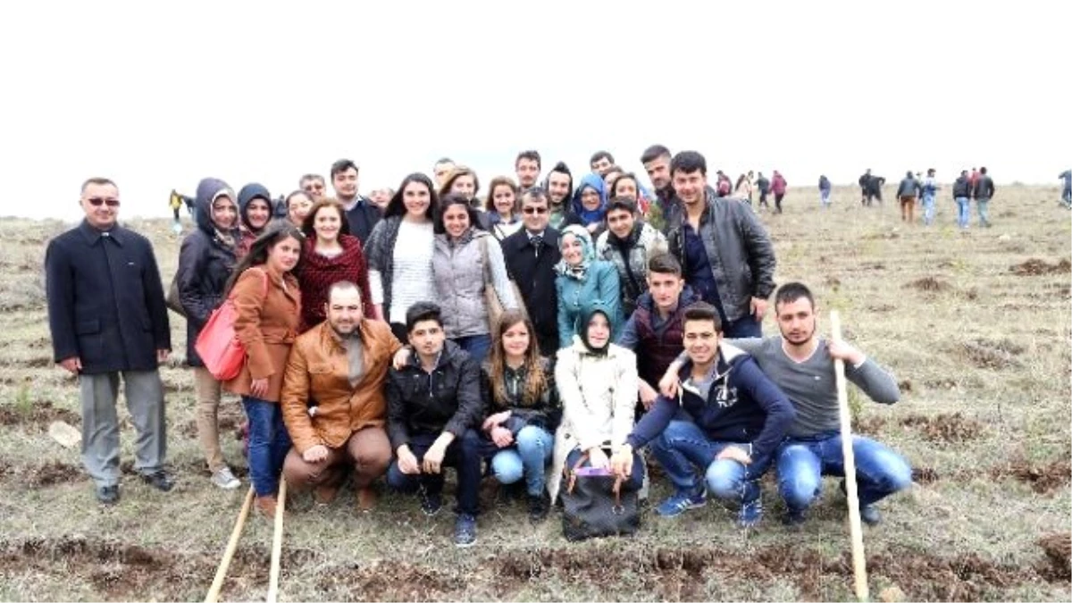 Bozok Üniversitesi Öğrencileri 700 Fidanı Toprakla Buluşturdu