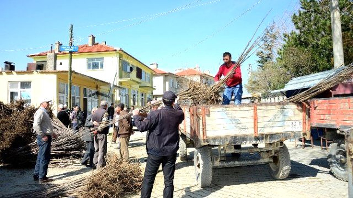 Büyükşehir Belediyesi\'nden Tüm İlçelere Tarımsal Destek
