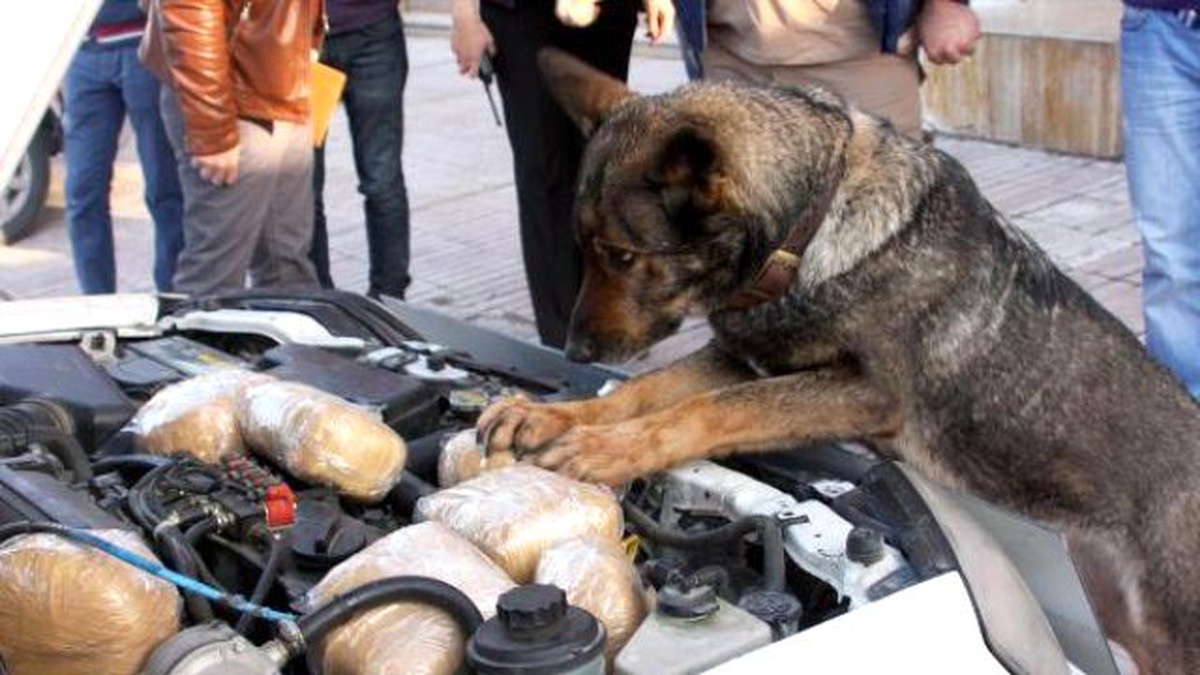 Elazığ\'da 35 Kilo Eroin, 33 Kilo Esrar Ele Geçirildi