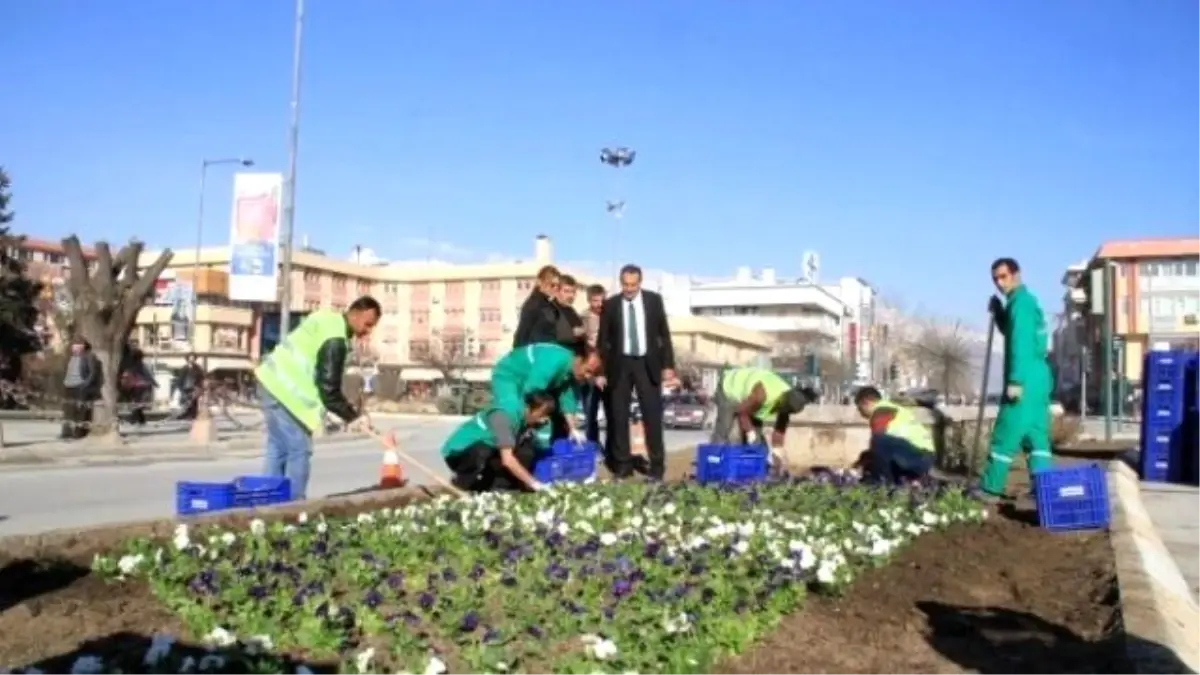 Erzincan Çiçek Açıyor