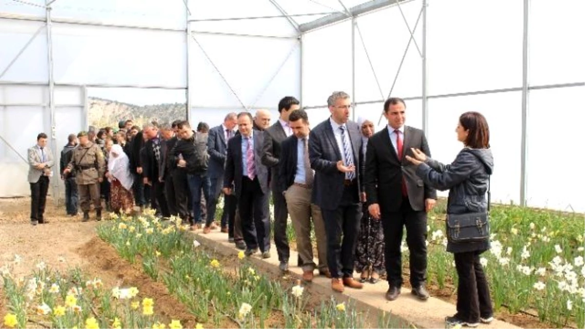 Eskişehir\'de Nergis Çiçeği Projesi Tanıtım Toplantısı