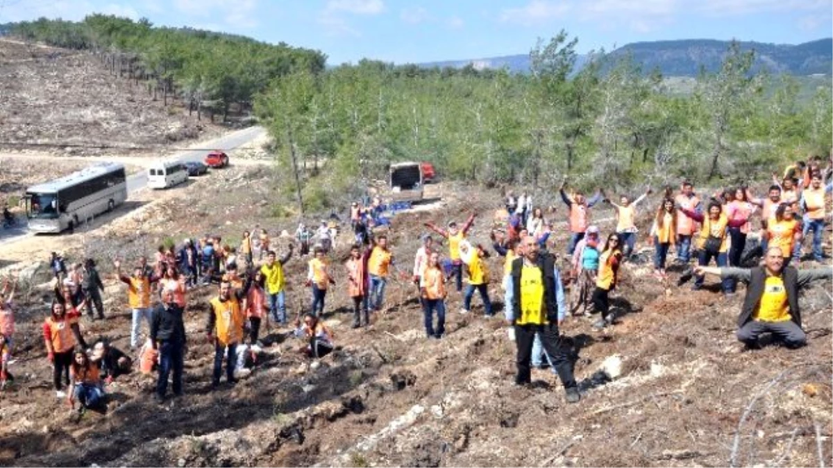 Gönüllüler, Ormancılar El Ele Fidan Dikti