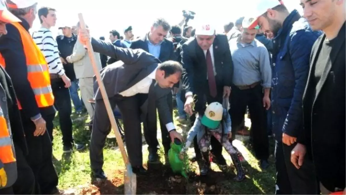 Karaköprü Belediyesi\'nden "Bereket Ormanı" Projesine Destek