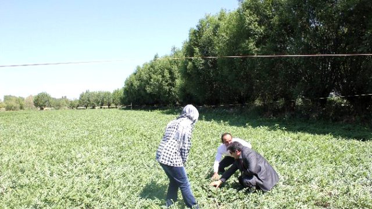 Mazot, Gübre ve Toprak Destekleme Başvuruları Uzatıldı