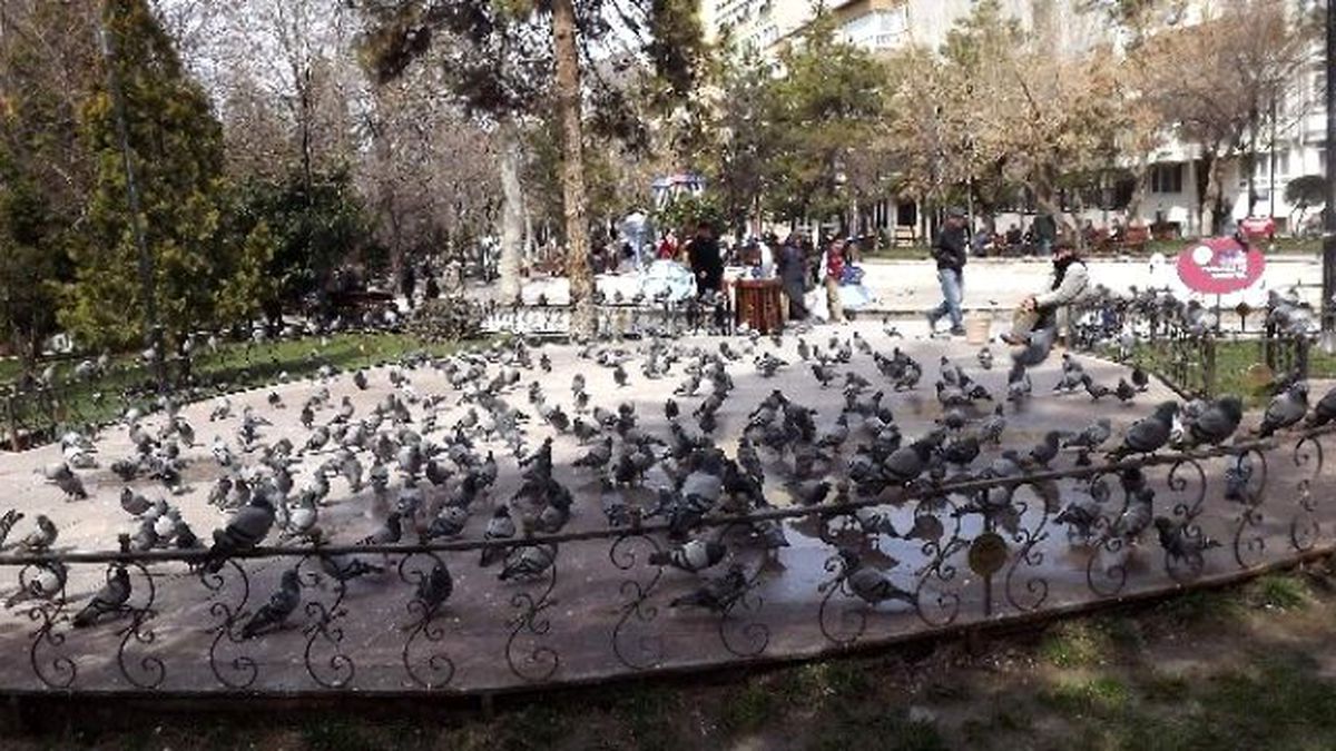 Ortak Dertleri Karınlarını Doyurmak