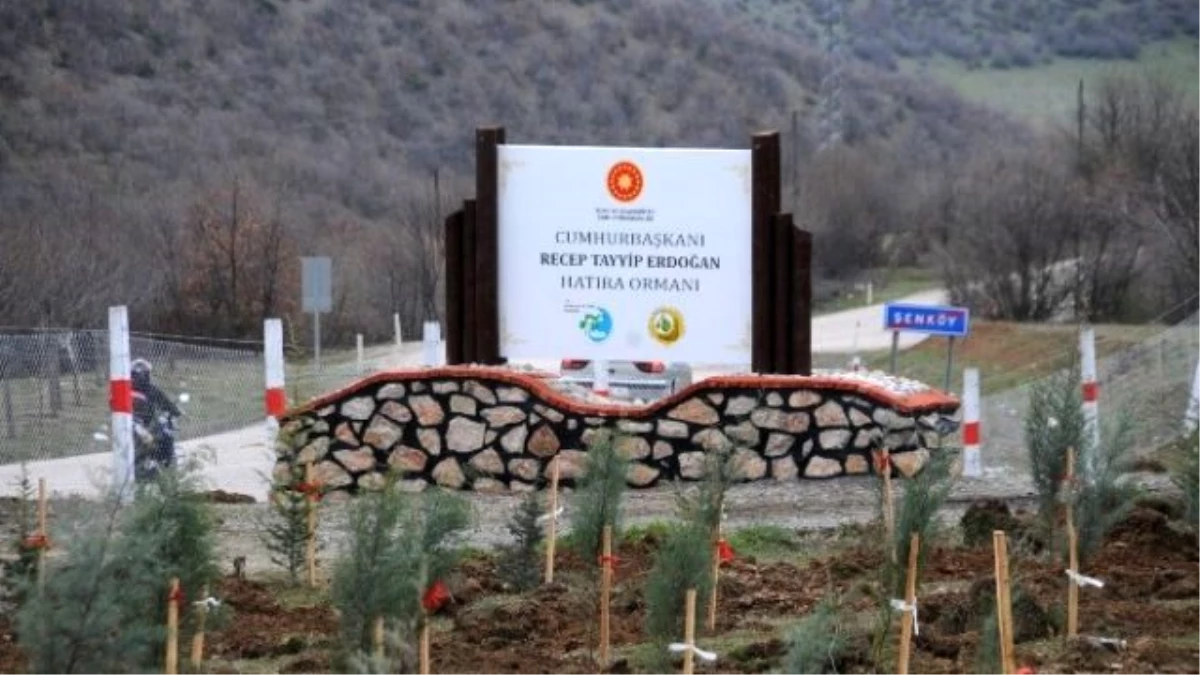 Tokat\'ta Cumhurbaşkanı Erdoğan Hatıra Ormanı