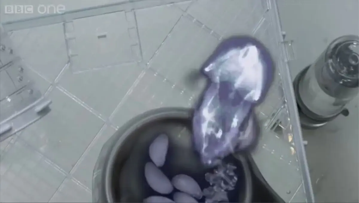 X-Ray Görüntüleri ile Hamsterların Yemek Yeme Şekli