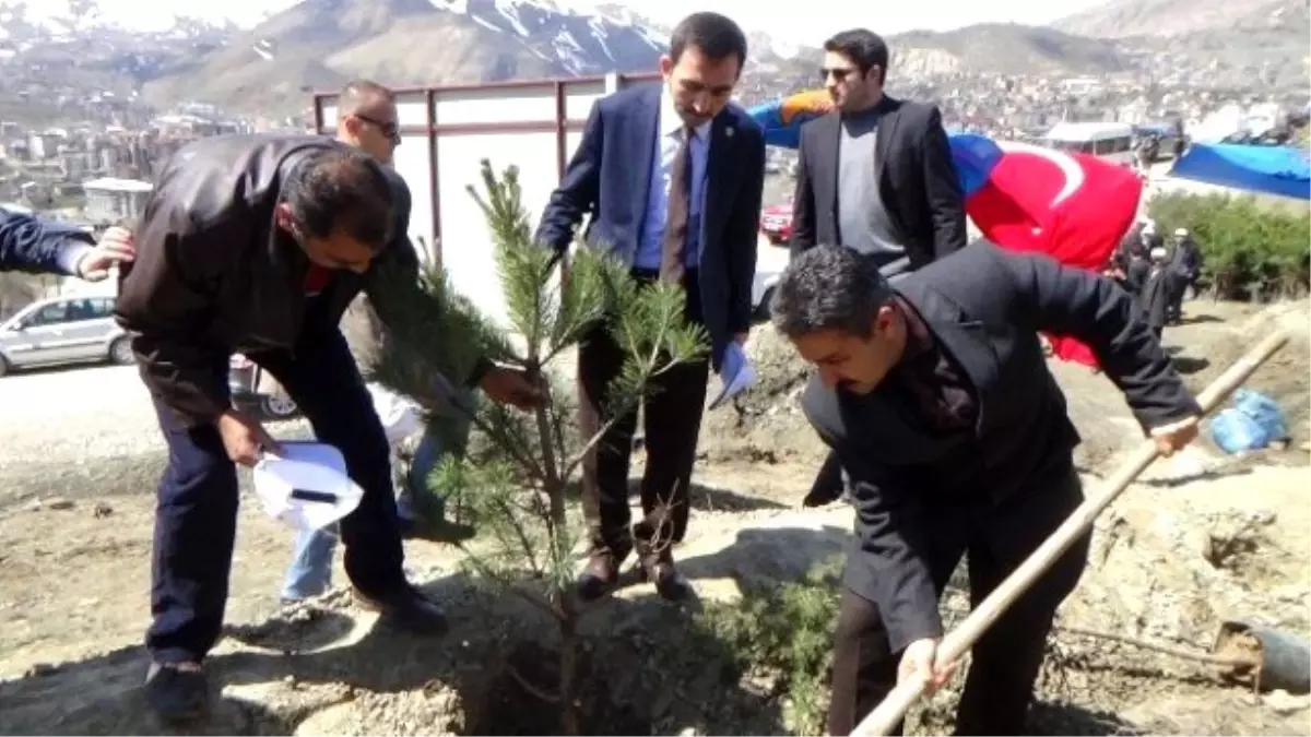 Hakkari\'de Cumhurbaşkanı Erdoğan Hatıra Ormanı Açıldı