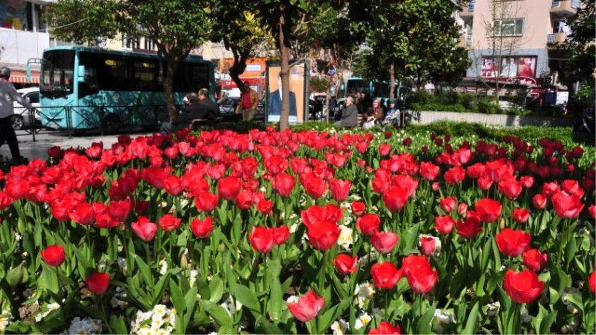 Manisa Büyükşehir\'le Çiçek Açtı