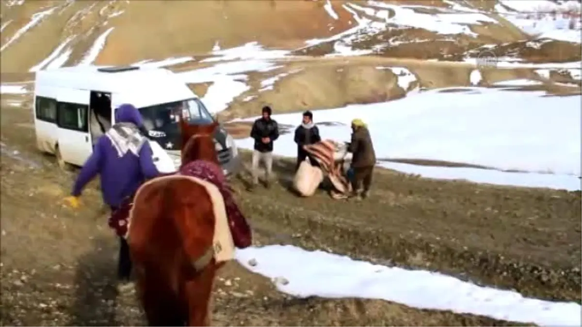 Ulaşımlarını At ve Eşeklerle Sağlıyorlar