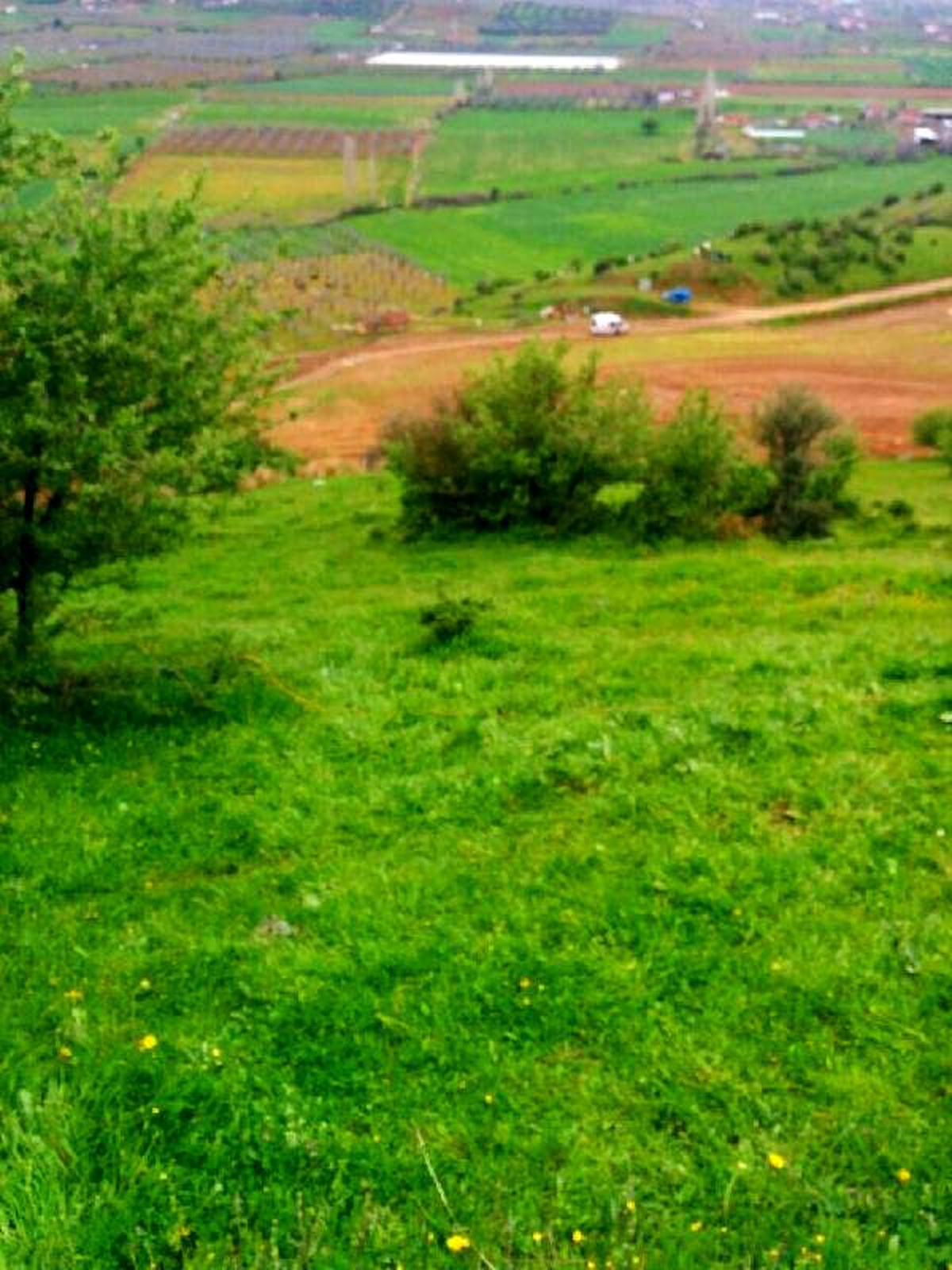 Beydağ\'da Silahlı Mera Kavgası: 1 Ölü, 1 Yaralı