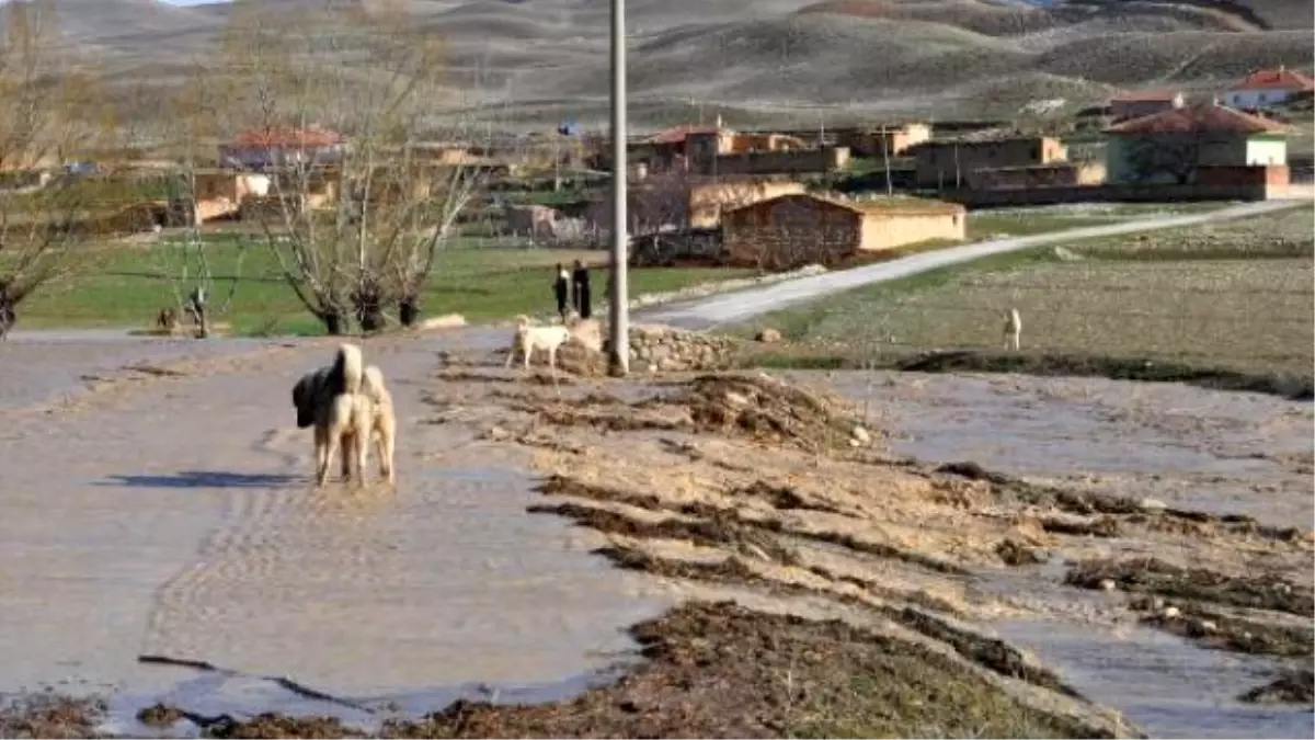 Ayrancı\'da Sel Ekili Arazilere Zarar Verdi