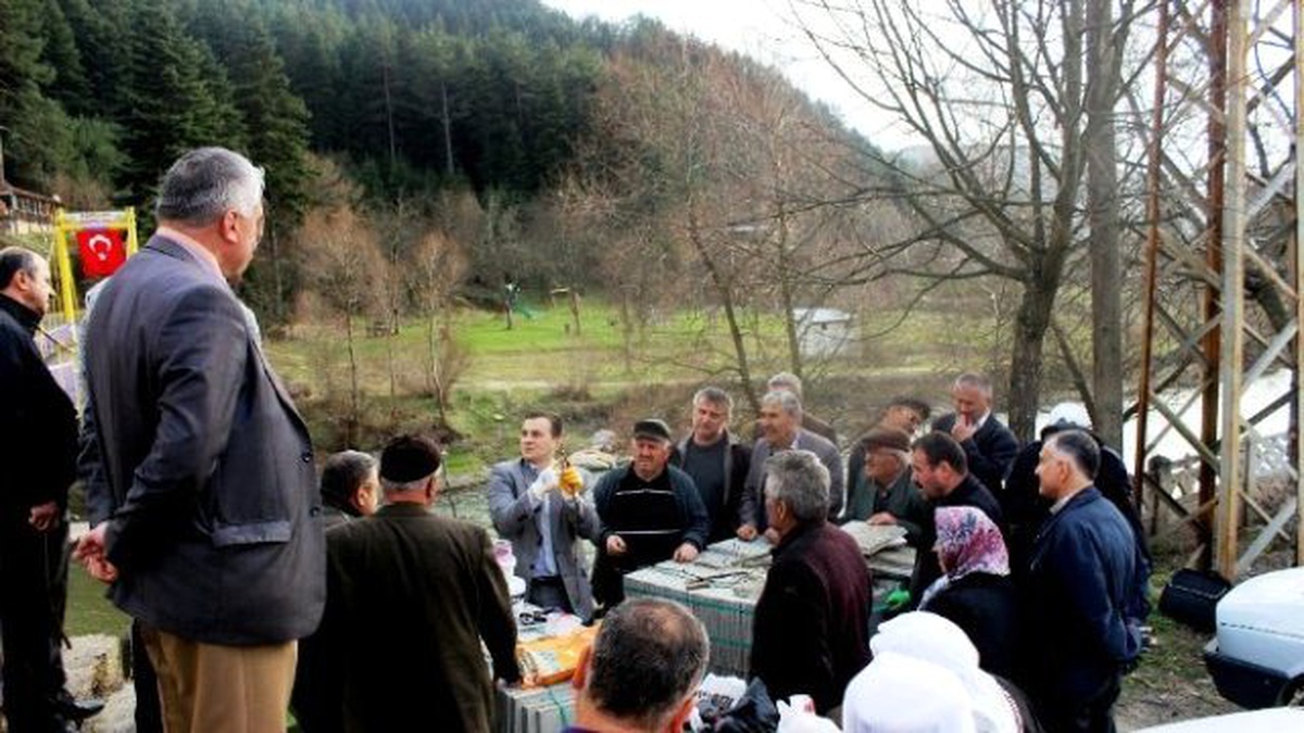 Azdavay\'da Meyve Ağaçlarında Aşılama Kursu Devam Ediyor