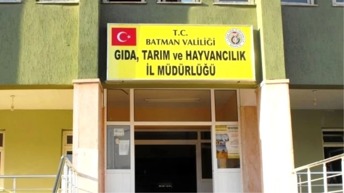 Batman, Yatırımdan Mahrum Kaldı