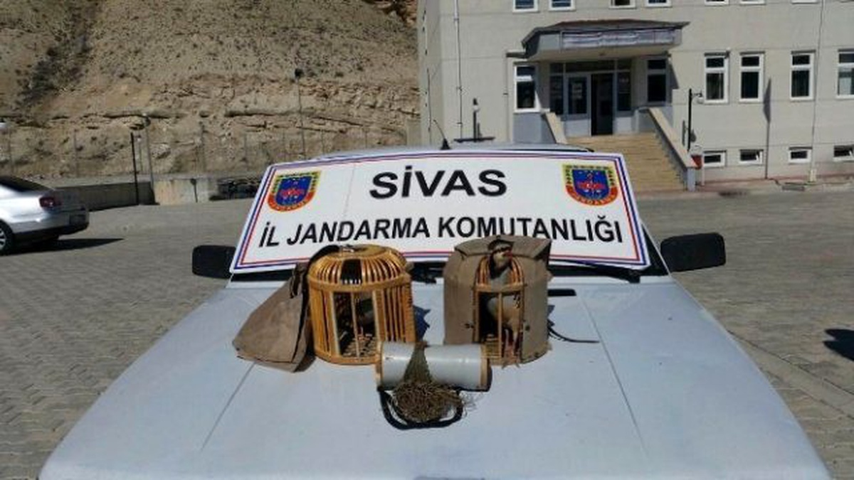 Gürün\'de Kaçak Avcılar Suçüstü Yakalandı