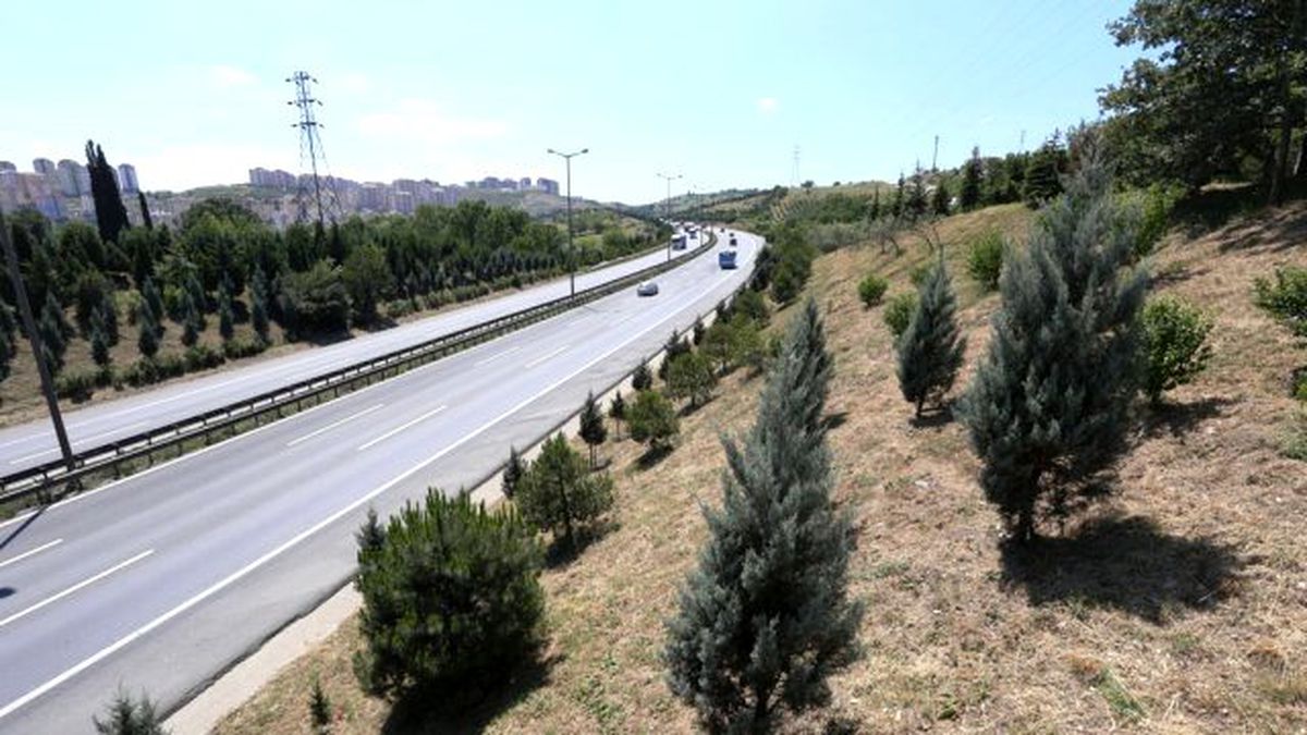 6 Milyon 650 Bin Ağaç Kocaeli\'de