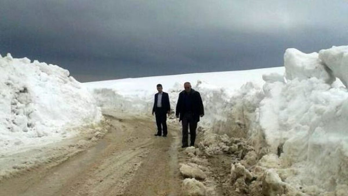 Adilcevaz\'da Kardan Kapanan Yollar Açılıyor