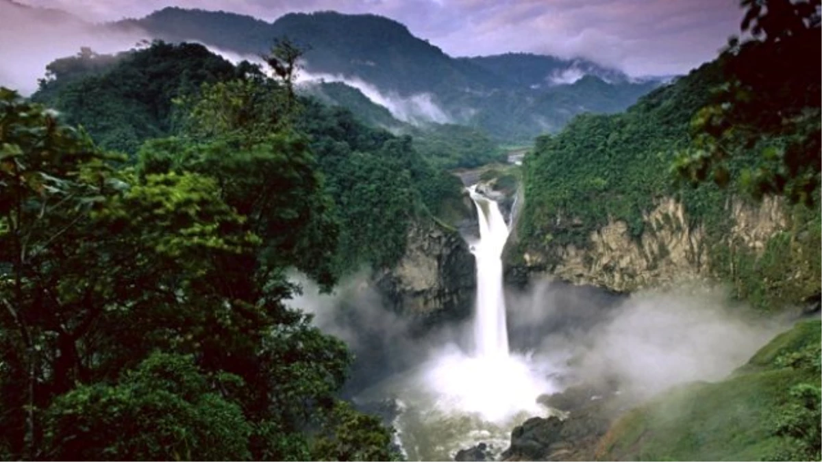 Amazon Ormanları Küresel Isınmaya Yenilmek Üzere