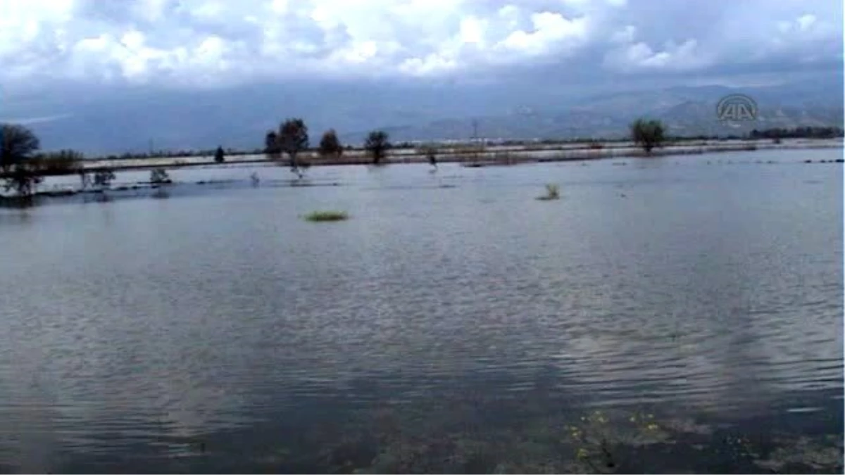 Aydın\'da Baraj Kapakları Açıldı, Yollar ve Tarım Arazileri Göle Döndü