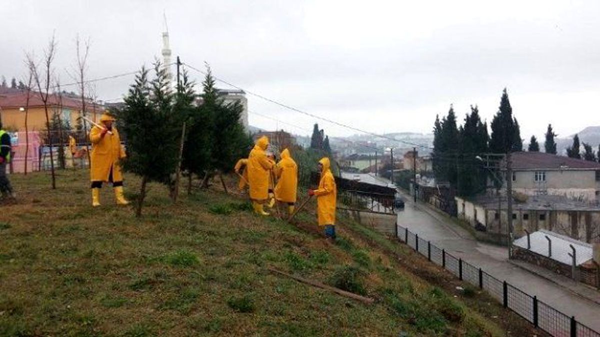 Dilovası\'nda Ağaçlandırma Çalışmaları Devam Ediyor